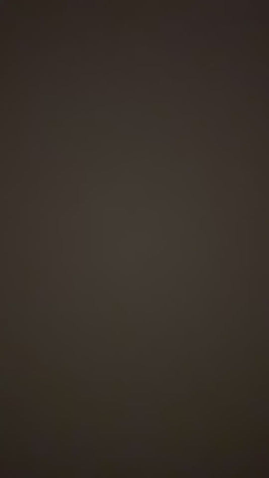 Frosted Wonderland Wax Melt Gift Box — Christmas Edition