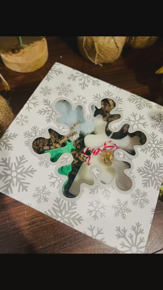 Frosted Wonderland – Christmas Soy Wax Gift Box